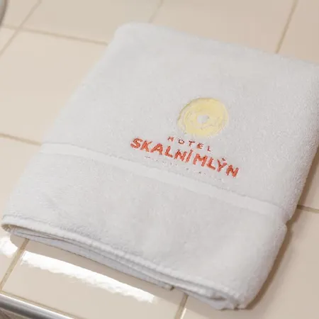 Отель Skalni Mlyn